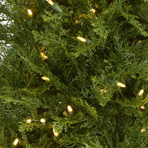 T1448 Holiday/Christmas/Christmas Trees