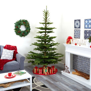 T2007 Holiday/Christmas/Christmas Trees