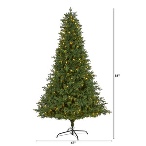 T1790 Holiday/Christmas/Christmas Trees