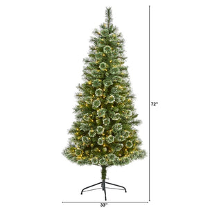 T1635 Holiday/Christmas/Christmas Trees