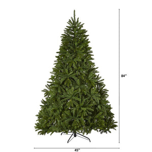 T1666 Holiday/Christmas/Christmas Trees