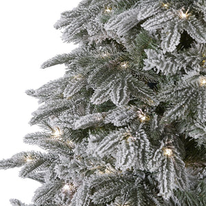 T1480 Holiday/Christmas/Christmas Trees