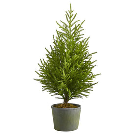 3' Norfolk Island Pine Natural Look Artificial Tree in Decorative Planter