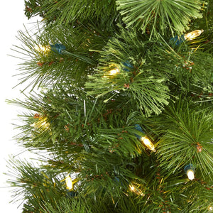 T1573 Holiday/Christmas/Christmas Trees