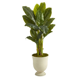 52" Triple Stalk Banana Artificial Tree in Decorative Urn (Real Touch