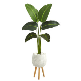 5' Traveler's Palm Artificial Plant in White Planter with Stand (Real Touch
