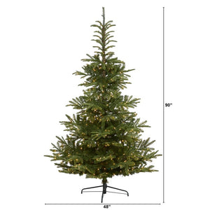 T1884 Holiday/Christmas/Christmas Trees