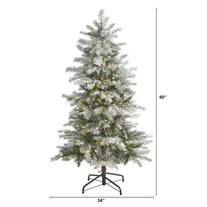 T1977 Holiday/Christmas/Christmas Trees