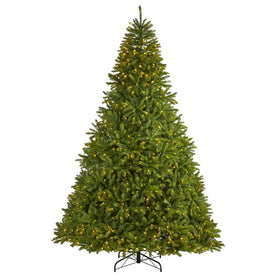 9' Sierra Spruce Natural Look Artificial Christmas Tree with 1000 Clear LED Lights and 4443 Tips