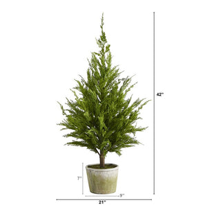 T1512 Holiday/Christmas/Christmas Trees