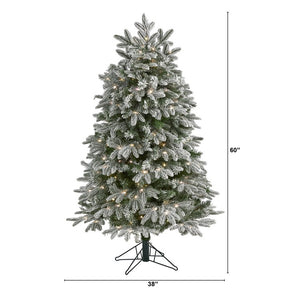T1574 Holiday/Christmas/Christmas Trees