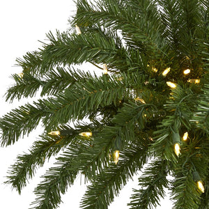 T1450 Holiday/Christmas/Christmas Trees