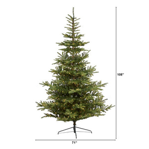 T1885 Holiday/Christmas/Christmas Trees