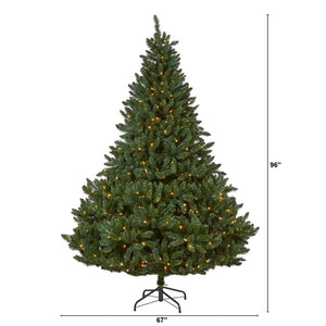 T1916 Holiday/Christmas/Christmas Trees