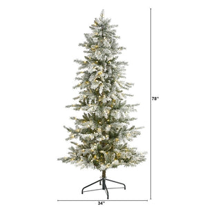 T1978 Holiday/Christmas/Christmas Trees