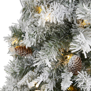 T1761 Holiday/Christmas/Christmas Trees