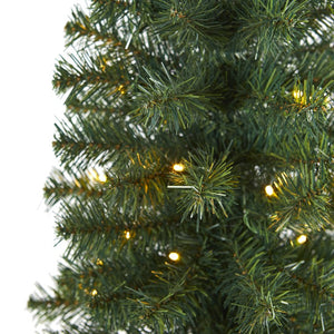 T1699 Holiday/Christmas/Christmas Trees