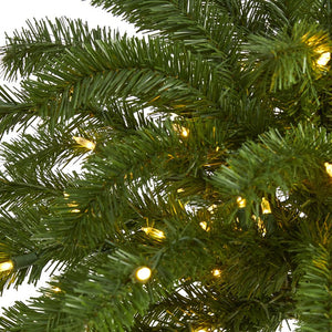 T1451 Holiday/Christmas/Christmas Trees