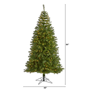 T1482 Holiday/Christmas/Christmas Trees