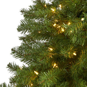 T1482 Holiday/Christmas/Christmas Trees