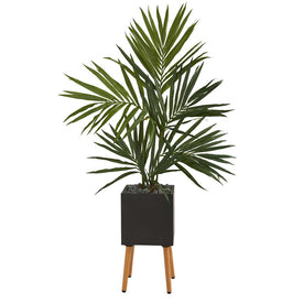 64" Kentia Artificial Palm Tree in Black Planter with Stand
