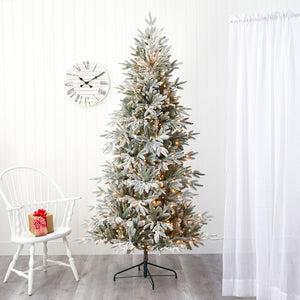 T1855 Holiday/Christmas/Christmas Trees