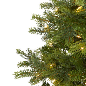 T1886 Holiday/Christmas/Christmas Trees