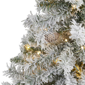 T1762 Holiday/Christmas/Christmas Trees