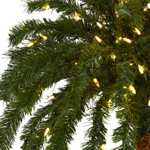 T1452 Holiday/Christmas/Christmas Trees