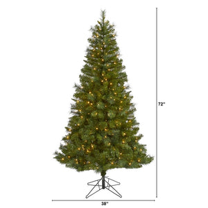 T1483 Holiday/Christmas/Christmas Trees
