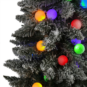 T1576 Holiday/Christmas/Christmas Trees