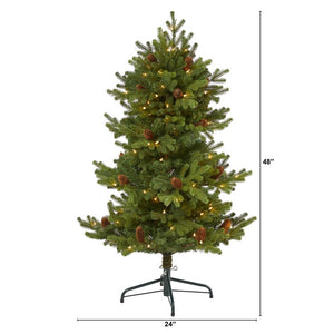 T1980 Holiday/Christmas/Christmas Trees