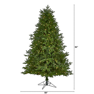 T1577 Holiday/Christmas/Christmas Trees