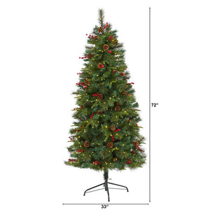 T1670 Holiday/Christmas/Christmas Trees