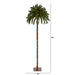 T1453 Holiday/Christmas/Christmas Trees