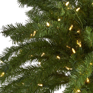 T1453 Holiday/Christmas/Christmas Trees