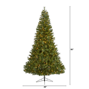 T1484 Holiday/Christmas/Christmas Trees