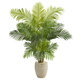 62" Hawaii Palm Artificial Tree in Sand Colored Planter
