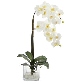 21" Phalaenopsis Orchid Artificial Arrangement in Glass Vase