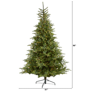 T1888 Holiday/Christmas/Christmas Trees