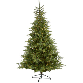 8' North Carolina Spruce Artificial Christmas Tree with 650 Clear Lights and 1303 Bendable Branches