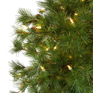 T1919 Holiday/Christmas/Christmas Trees