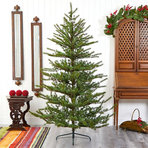 T2012 Holiday/Christmas/Christmas Trees