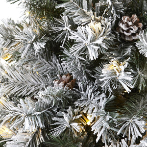 T1764 Holiday/Christmas/Christmas Trees