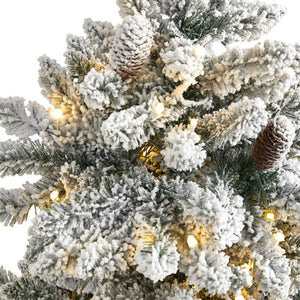 T1609 Holiday/Christmas/Christmas Trees