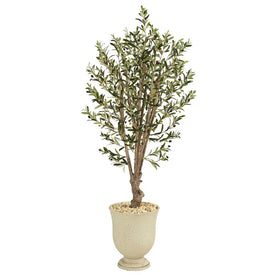64" Olive Artificial Tree in Decorative Urn
