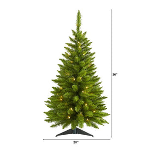 T1454 Holiday/Christmas/Christmas Trees