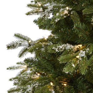 T1858 Holiday/Christmas/Christmas Trees