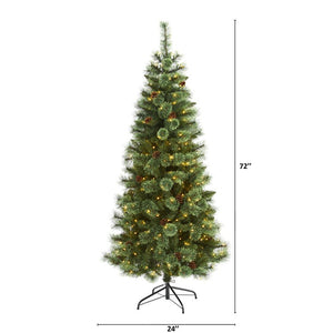 T1641 Holiday/Christmas/Christmas Trees