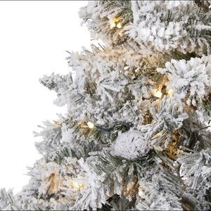 T1765 Holiday/Christmas/Christmas Trees